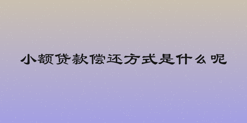 小额贷款偿还方式是什么呢