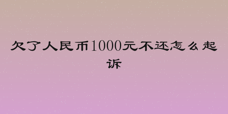 欠了人民币1000元不还怎么起诉