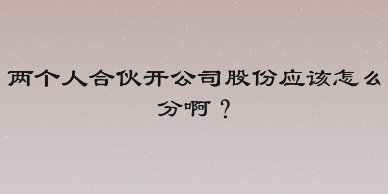两个人合伙开公司股份应该怎么分啊？