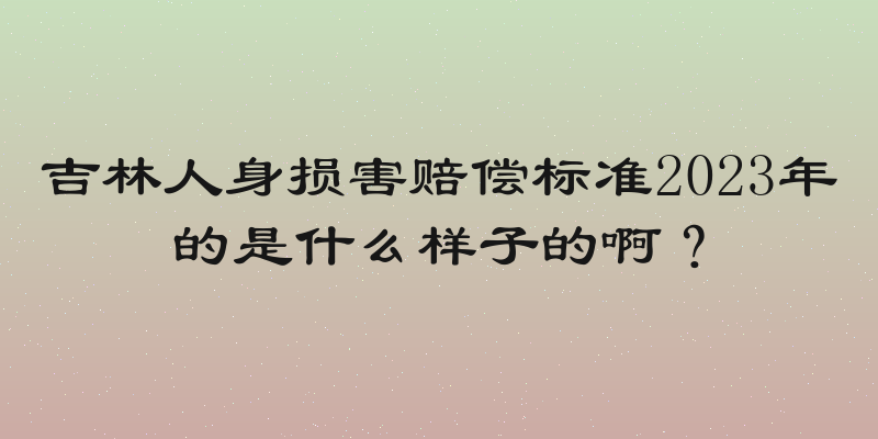 吉林人身损害赔偿标准2023年的是什么样子的啊？
