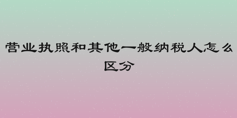 营业执照和其他一般纳税人怎么区分