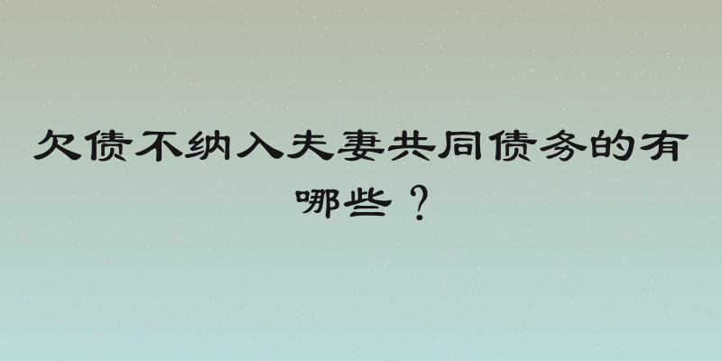 欠债不纳入夫妻共同债务的有哪些？