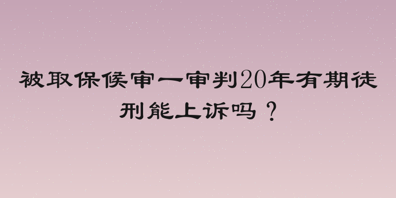 被取保候审一审判20年有期徒刑能上诉吗？