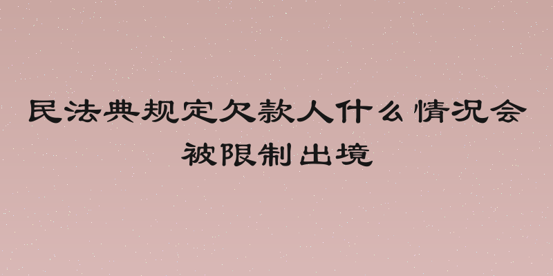 民法典规定欠款人什么情况会被限制出境