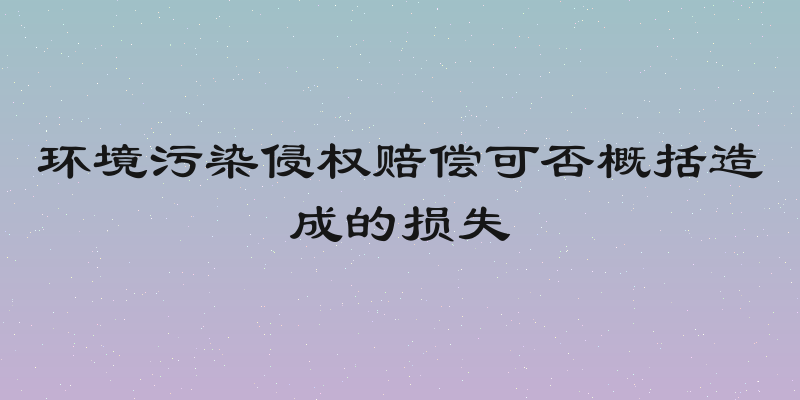 环境污染侵权赔偿可否概括造成的损失