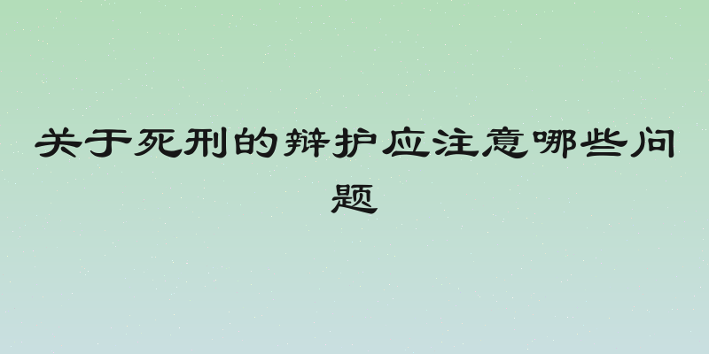 关于死刑的辩护应注意哪些问题