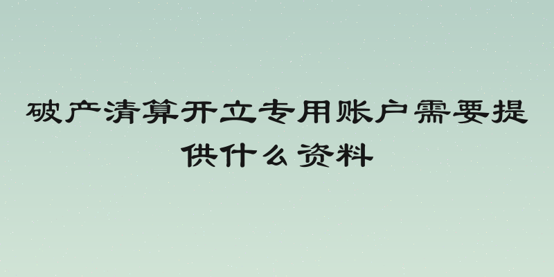 破产清算开立专用账户需要提供什么资料