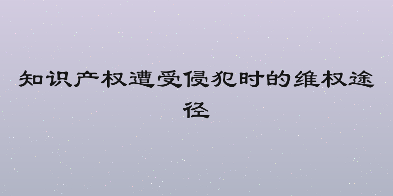知识产权遭受侵犯时的维权途径