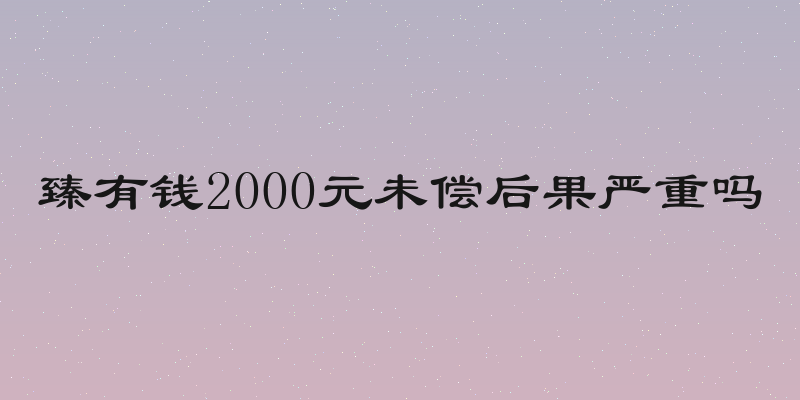 臻有钱2000元未偿后果严重吗