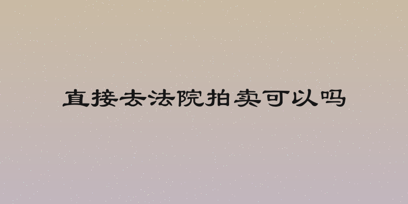 直接去法院拍卖可以吗