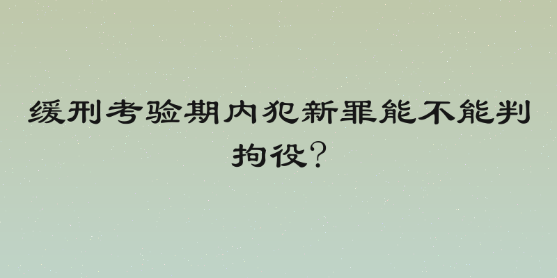 缓刑考验期内犯新罪能不能判拘役?