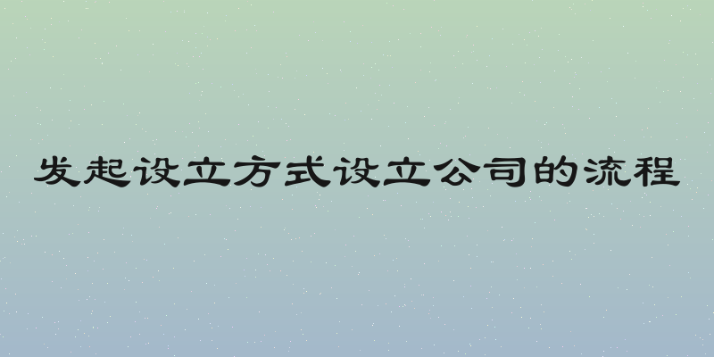 发起设立方式设立公司的流程