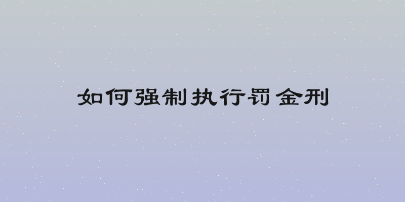 如何强制执行罚金刑