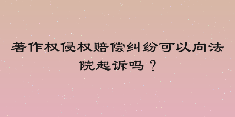 著作权侵权赔偿纠纷可以向法院起诉吗？