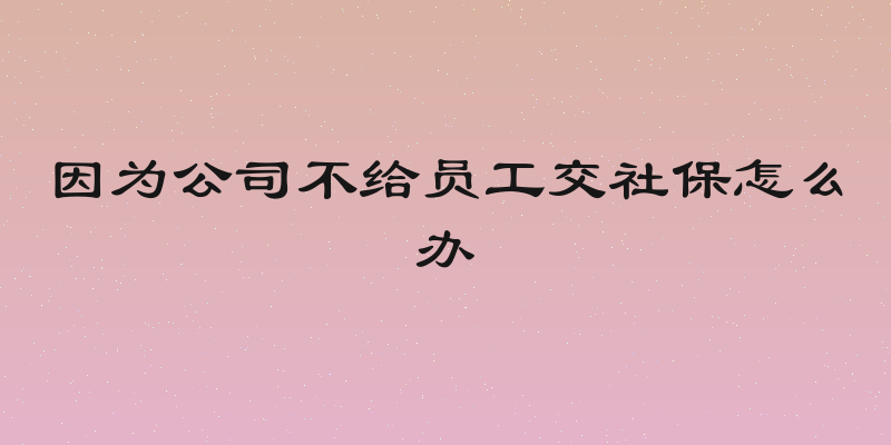 因为公司不给员工交社保怎么办