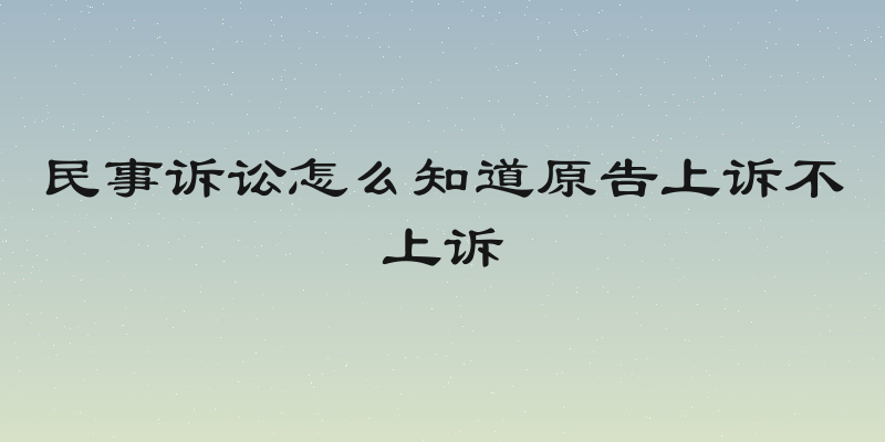 民事诉讼怎么知道原告上诉不上诉