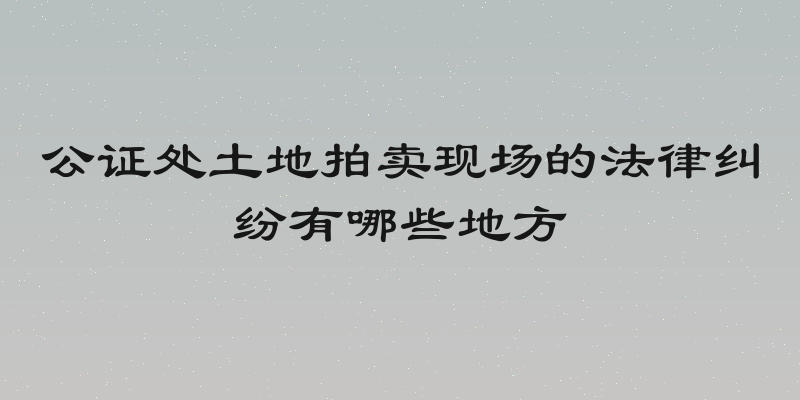 公证处土地拍卖现场的法律纠纷有哪些地方