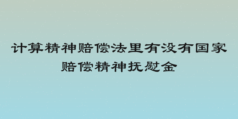 计算精神赔偿法里有没有国家赔偿精神抚慰金