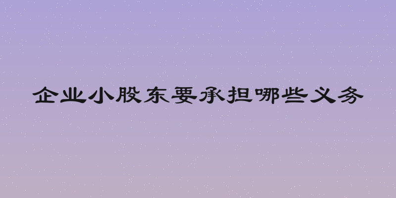 企业小股东要承担哪些义务
