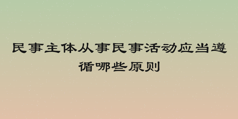 民事主体从事民事活动应当遵循哪些原则