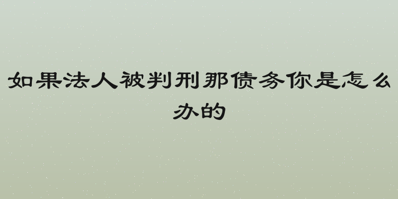 如果法人被判刑那债务你是怎么办的