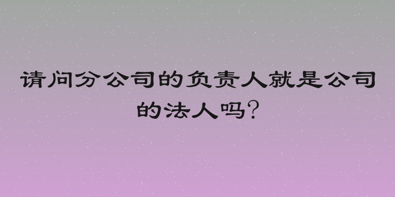请问分公司的负责人就是公司的法人吗?