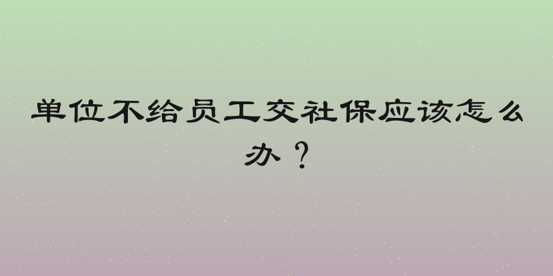 单位不给员工交社保应该怎么办？