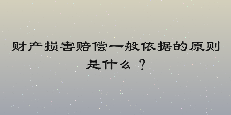 财产损害赔偿一般依据的原则是什么？