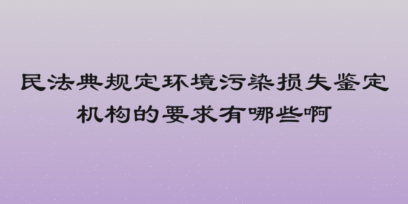 民法典规定环境污染损失鉴定机构的要求有哪些啊