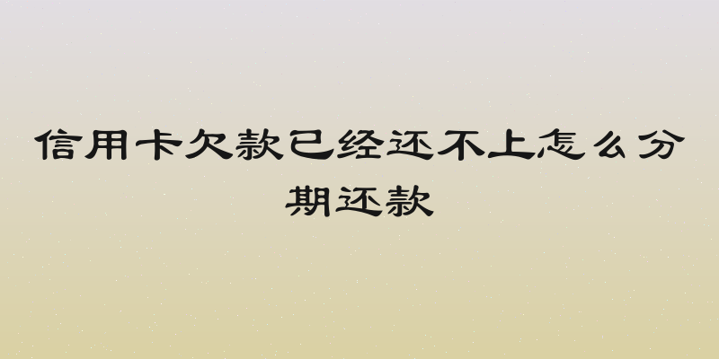 信用卡欠款已经还不上怎么分期还款