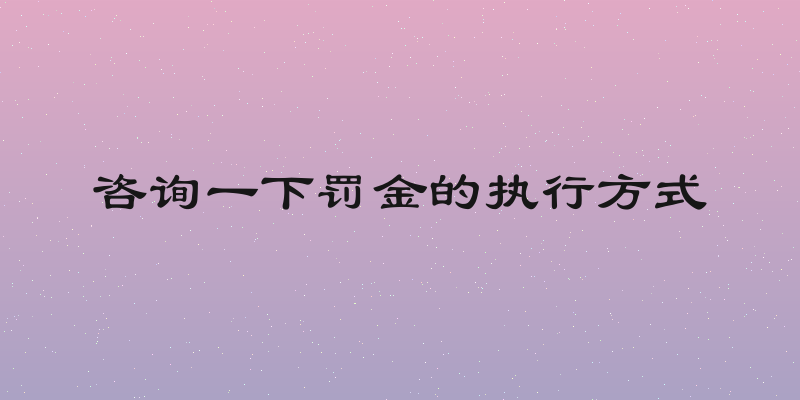 咨询一下罚金的执行方式