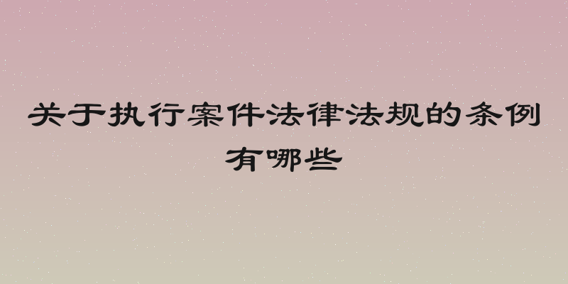 关于执行案件法律法规的条例有哪些
