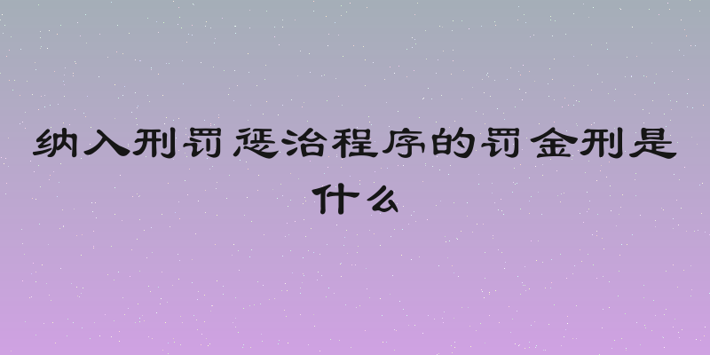 纳入刑罚惩治程序的罚金刑是什么