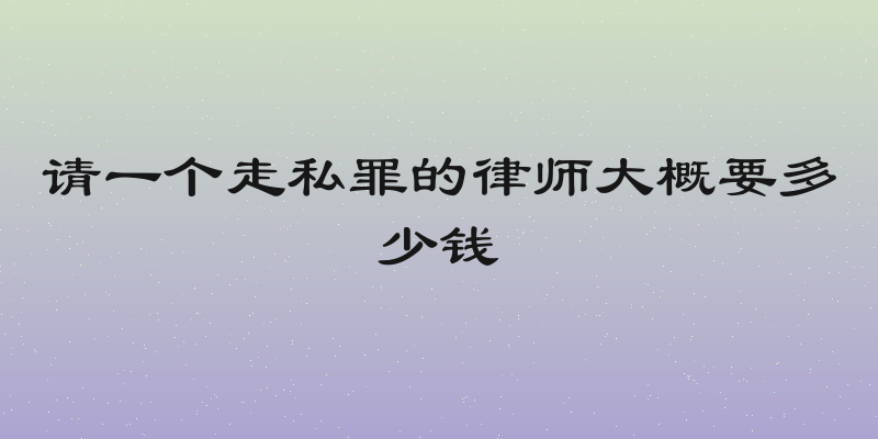 请一个走私罪的律师大概要多少钱
