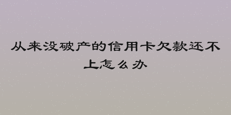 从来没破产的信用卡欠款还不上怎么办