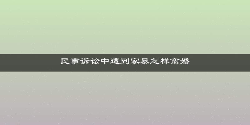 民事诉讼中遭到家暴怎样离婚