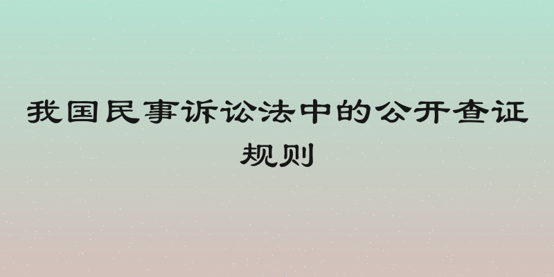 我国民事诉讼法中的公开查证规则