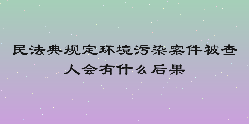 民法典规定环境污染案件被查人会有什么后果