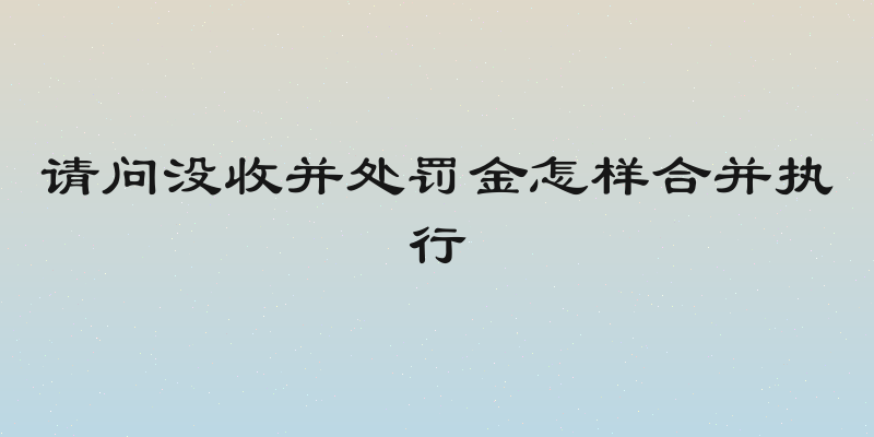 请问没收并处罚金怎样合并执行