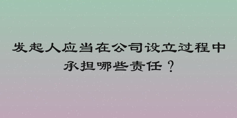 发起人应当在公司设立过程中承担哪些责任？