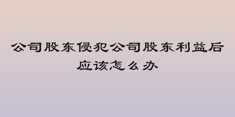 公司股东侵犯公司股东利益后应该怎么办