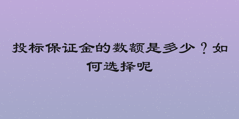 投标保证金的数额是多少？如何选择呢