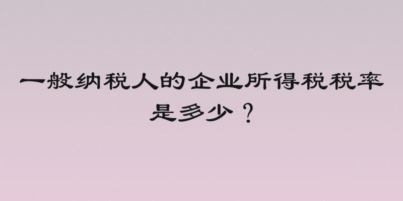 一般纳税人的企业所得税税率是多少？