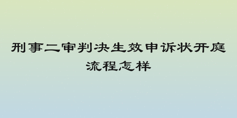 刑事二审判决生效申诉状开庭流程怎样