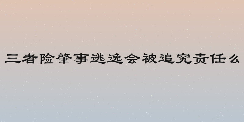 三者险肇事逃逸会被追究责任么