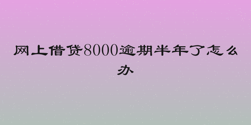 网上借贷8000逾期半年了怎么办