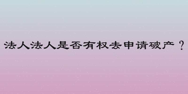 法人法人是否有权去申请破产？
