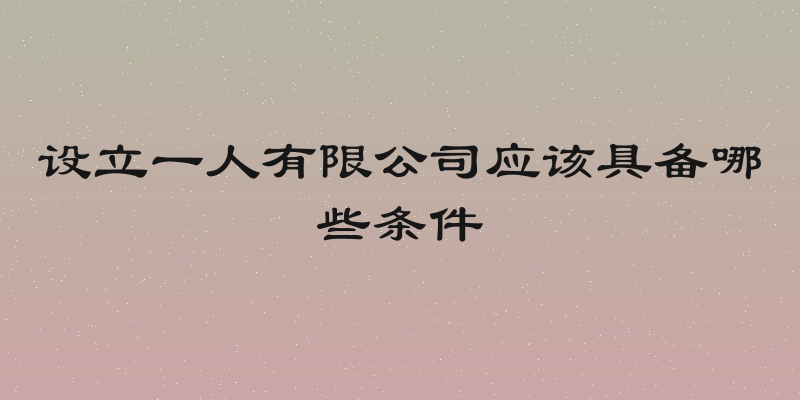 设立一人有限公司应该具备哪些条件