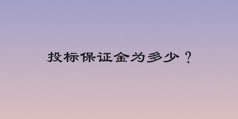 投标保证金为多少？