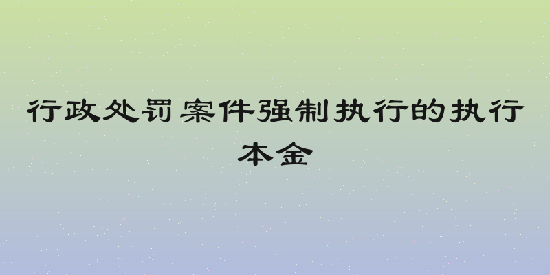 行政处罚案件强制执行的执行本金